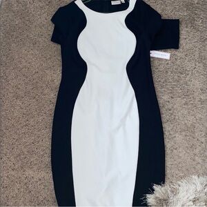 Bisou Bisou Black and White Curved-Panel Sheath Midi Dress
